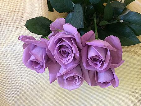 花のギフト 花清 ブルーローズ アプローズ 5本の花束